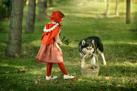 a scene from a fairy tale forest girl red cap with a basket and the Grey Wolf