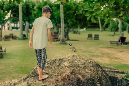 In the park a boy and a birdの写真素材