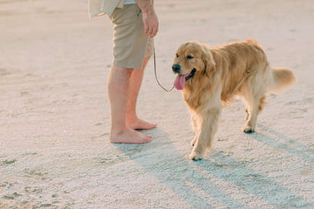 Man with a dog on the seashoreの写真素材