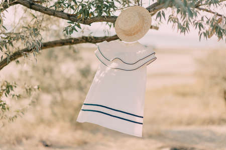 dress with hatの写真素材