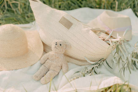 hat with olive branch on the hayの写真素材