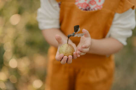 Child in orange overalls holding fruitの写真素材