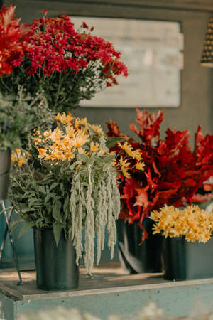 Courtyard decorated with loft style with a variety of autumn flowers