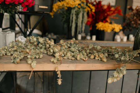 A rustic courtyard decorated in the style of a loft with a lot of canned vegetables