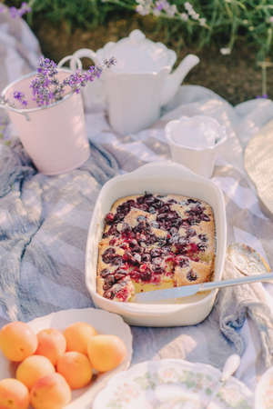 delicious dinner in nature. delicious al fresco dinnerの写真素材