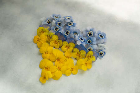 yellow and blue flowers laid out in the shape of a heart symbol of the Ukrainian flag