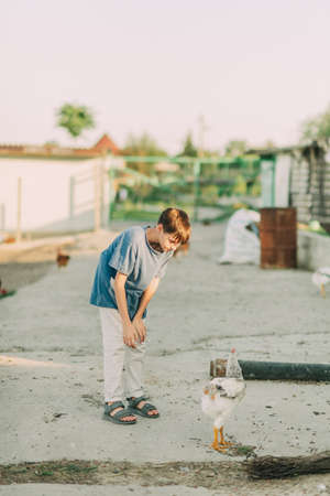 boy playing with chicken at the farmの写真素材