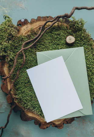 Envelope with blank paper sheet on green moss, top viewの写真素材