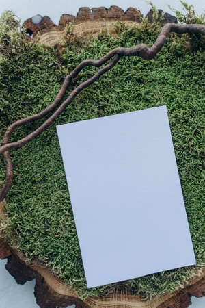 Blank sheet of paper on a green moss background. Place for your text.の写真素材