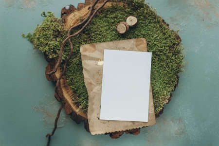 Blank greeting card mockup on green moss background. Flat lay.の写真素材