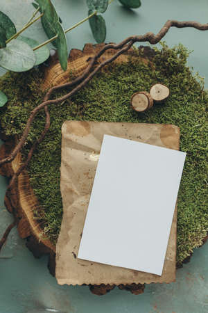 Moss, eucalyptus and blank card on green backgroundの写真素材