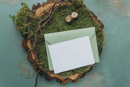 Envelope with blank card on green moss background, top viewの写真素材