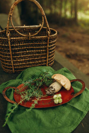 mushroom in a wicker basket on a green napkin in the forestの写真素材