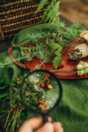 A magnifying glass on a wooden table with a bouquet of wildflowers and a wicker basket.の写真素材