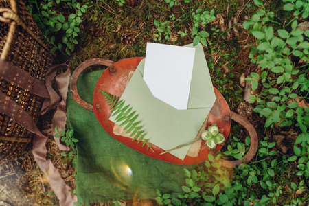 Envelope with a letter in the forest on the grass.の写真素材