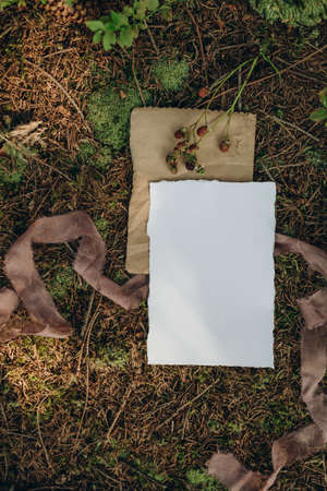Blank sheet of paper on the grass. Wedding invitation mockup.の写真素材