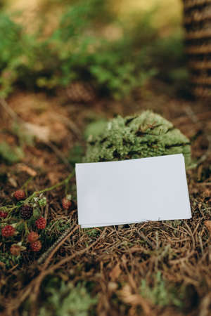 Blank white business card mockup on dry grass in forest.の写真素材
