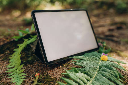 A digital tablet with a white screen stands on the ground among the ferns.の写真素材
