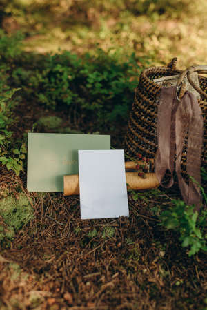 Blank card with place for your text on a background of green grass in the forestの写真素材