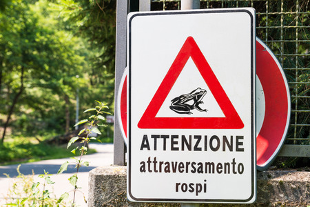 Warning plate That alerts the possible passage of toads. The sign says: Beware toads crossingの写真素材