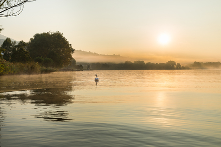 Sunrise on the lakeside of Gavirate Varese and lake, the provinces of Varese, Italyの写真素材