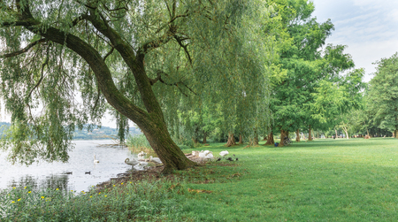 Beautiful lake in northern Italy. Lake Varese and the green area of Schiranna or Zanzi park. Lake famous because it hosts rowing competitions of national, European and world levelの写真素材