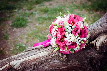 Wedding rings  on flowersの写真素材