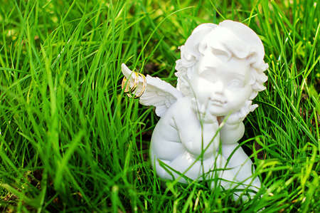 Wedding ringsの写真素材