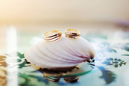 wedding ringsの写真素材