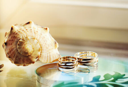 wedding ringsの写真素材