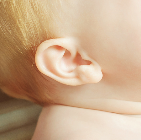 Photo of the child's earの写真素材