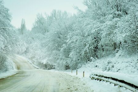 Country road leading among frosted trees. Russia.