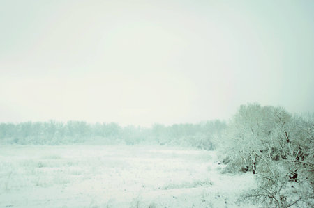 Winter landscape. Field in the snow. Road.の写真素材