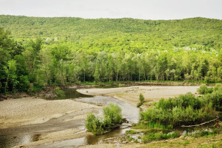 Stock Photo.  Mountain River in the woodの写真素材