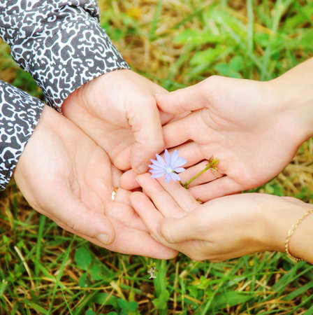 Happy couple holding hands with the flowerの写真素材