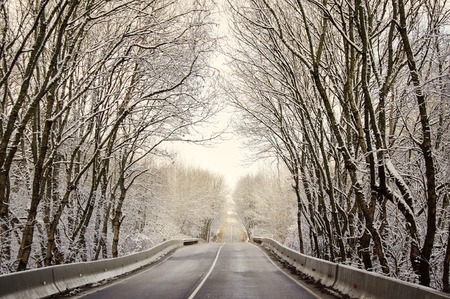 Frozen winter road in south of Russiaの写真素材