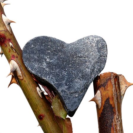 Rough figure of a heart made of gray pebble stone balancing on the stems of a rose with prickly thorns closeupの写真素材