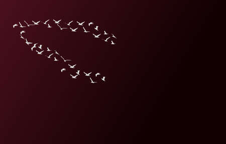 a flock of birds at sunsetのイラスト素材