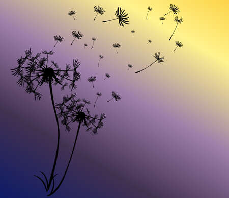 abstract card with dandelions vector backgroundのイラスト素材