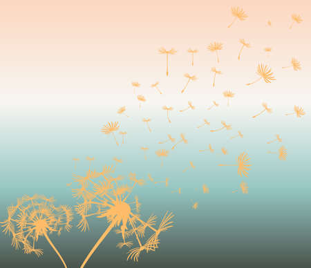 abstract card with dandelions vector backgroundのイラスト素材