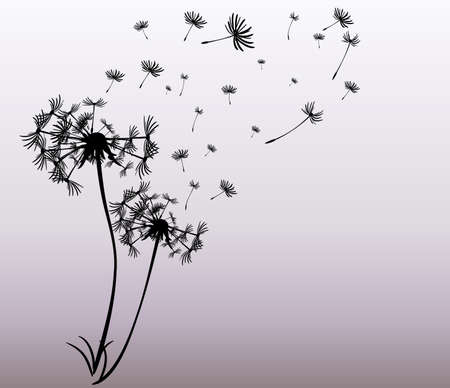 abstract card with dandelions vector backgroundのイラスト素材