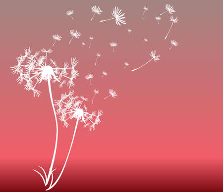 abstract card with dandelions vector backgroundのイラスト素材