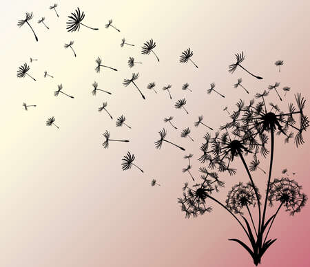abstract card with dandelions vector backgroundのイラスト素材