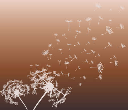 abstract card with dandelions vector backgroundのイラスト素材