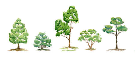 Watercolor summer trees, bush. Set of hand drawn green plants for background, poster, banner. Paint illustration. Landscape. Natureの写真素材
