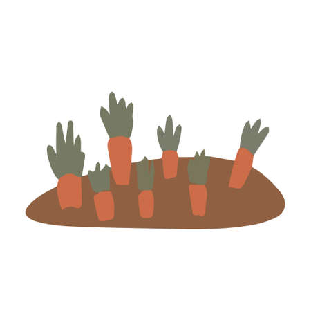 A bed with orange carrots for banner design.のイラスト素材