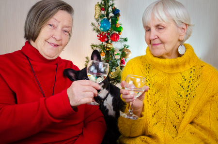 two old grandmothers in new year midnight clinking glasses. both  granny take glass with alcohol in adult hand. friends, sisters together drink champagne wine. elderly women at christmas treeの写真素材