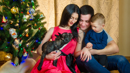 Beautiful young family enjoying playing with new puppy at Christmasの写真素材