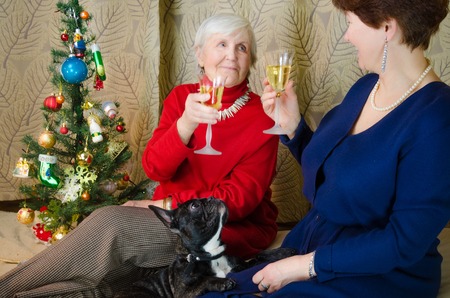 Family moments at Christmas time. old woman smile. grandmother and her daughter are sitting near Christmas tree. spirit of New Year. Clink glasses with champagne.の写真素材