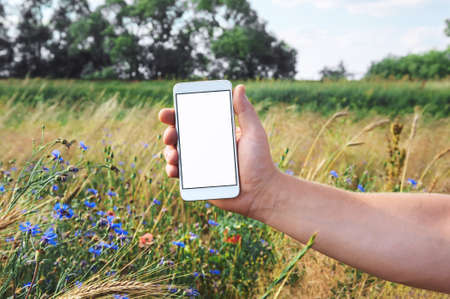 Man holds a smartphone in his hand in the background of the green field.の写真素材
